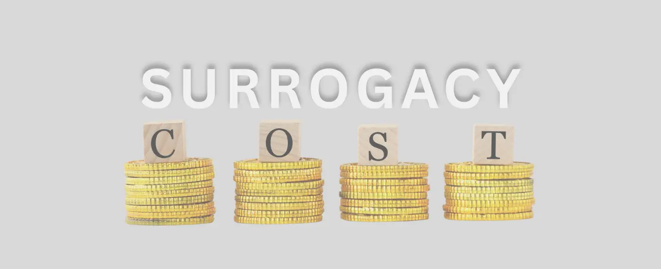 Cheapest Surrogacy cost