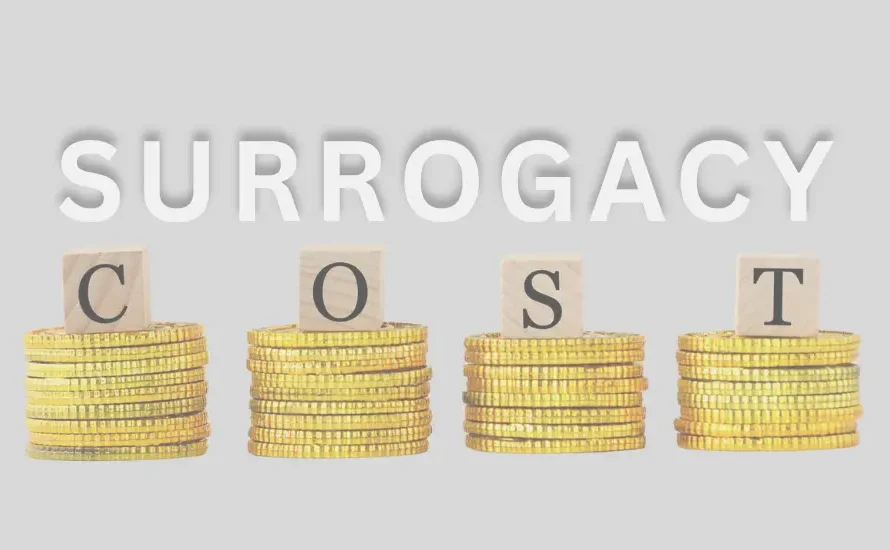 Cheapest Surrogacy cost